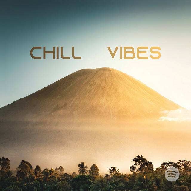 Chill House | Chill Vibes | House Music to Chill