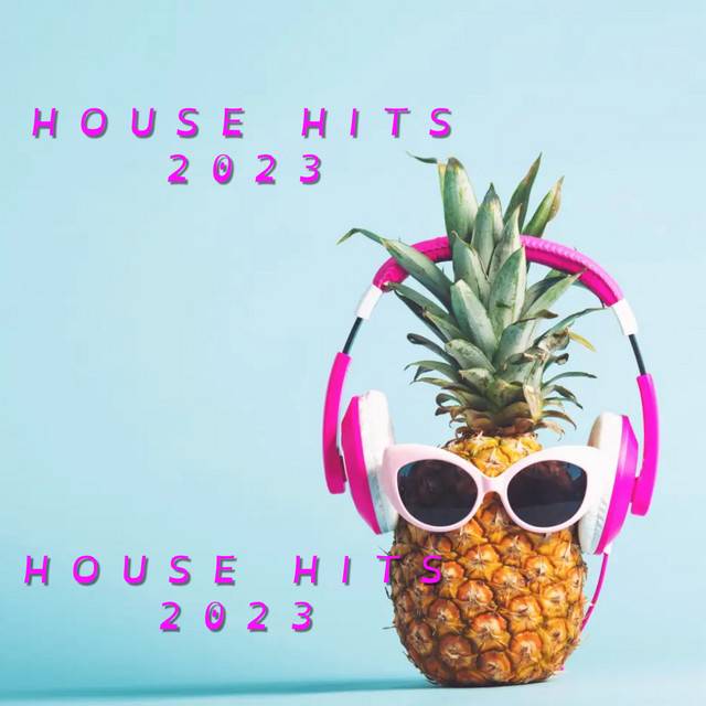 Afro House Hits 2023