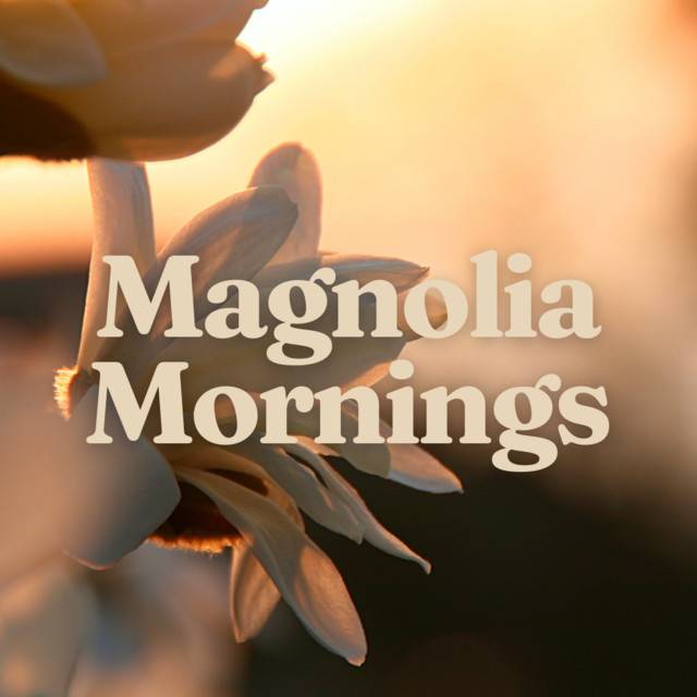 Magnolia Mornings