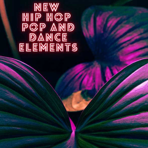 New Hip Hop / Pop And Dance Elements