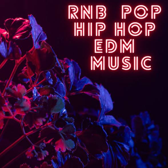 RNB / POP / HIP HOP / EDM / MUSIC