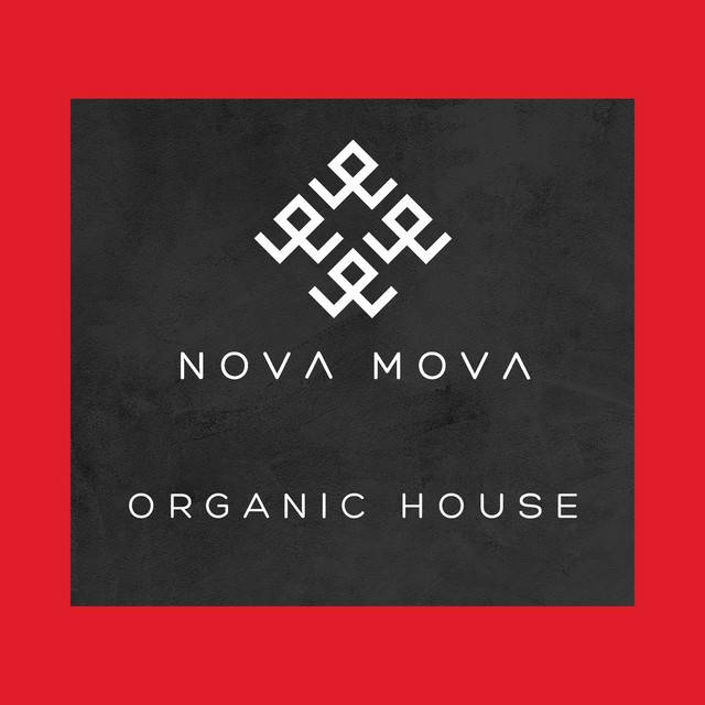 Organic House | Downtempo | Best of 2024