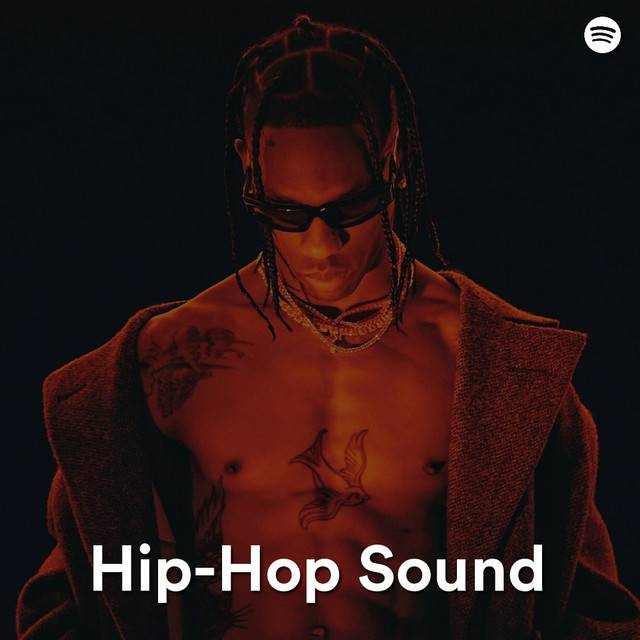The Hip-Hop Sound