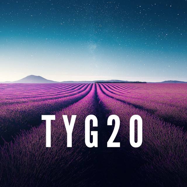 TYG20