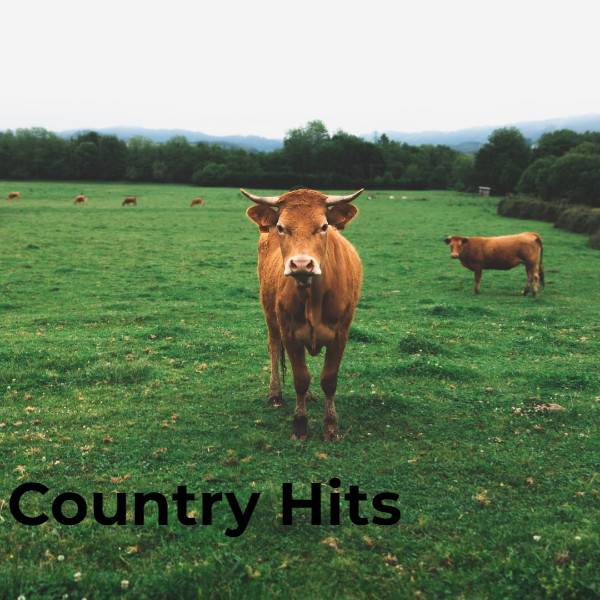 Country Hits