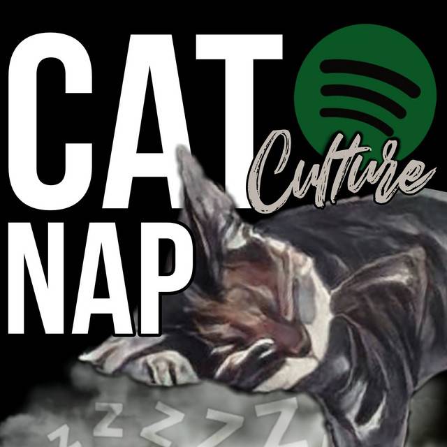 Cat Nap Culture😺💤