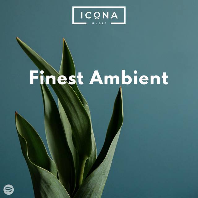 Finest Ambient