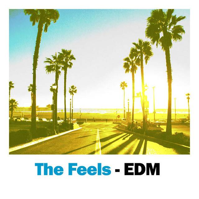 EDM- The Feels - Melodic Bass Hits
