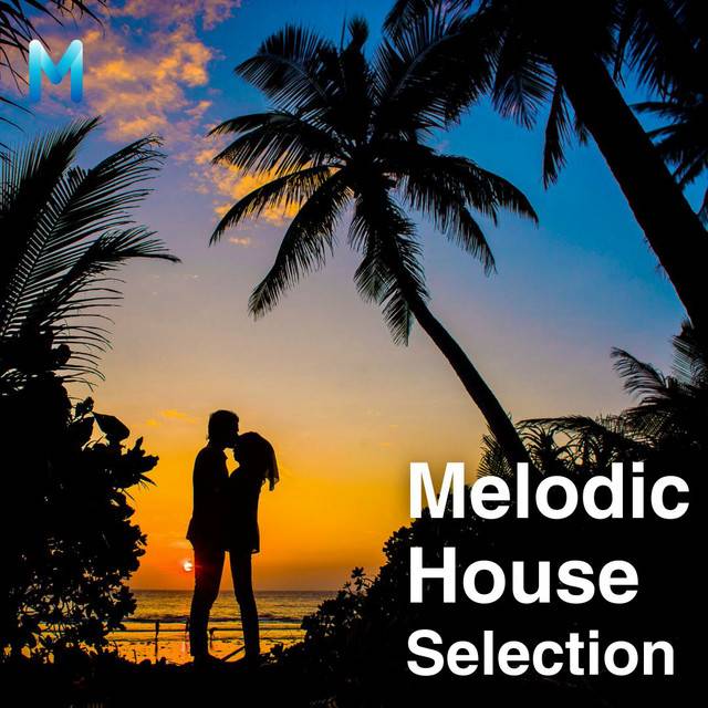 Melodic House Selection
