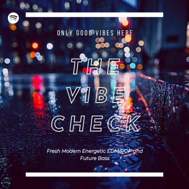 The Vibe Check | EDM / House |
