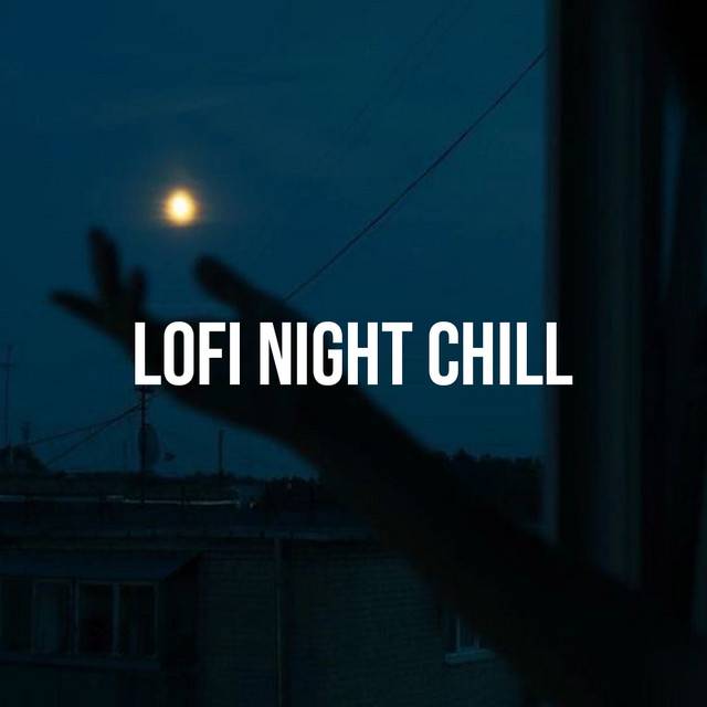 Lofi Night Chill 