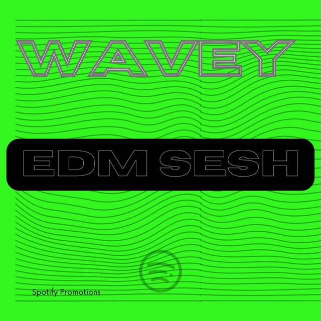 Wavey EDM Sesh 2023