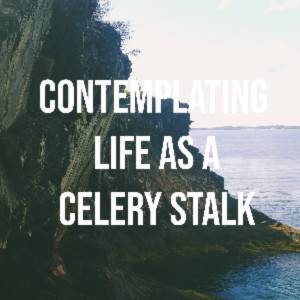 Contemplating Life As A Celery Stalk