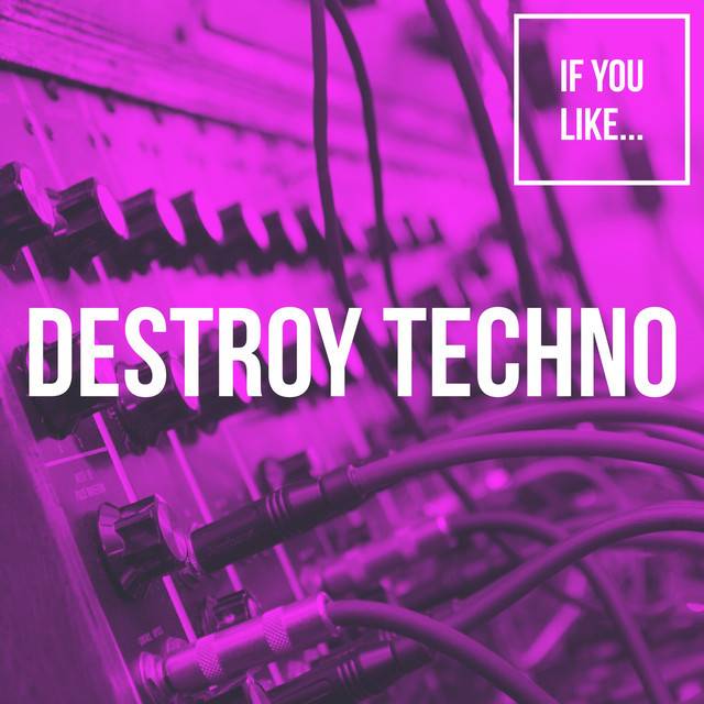 IF YOU LIKE... Destroy Techno