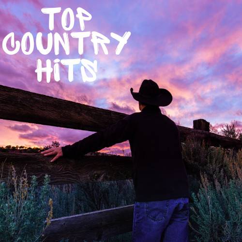 Top 30 Country Hits