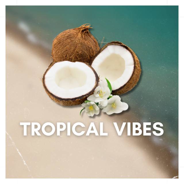 TROPICAL VIBES | Tropical House & Chill Moments!