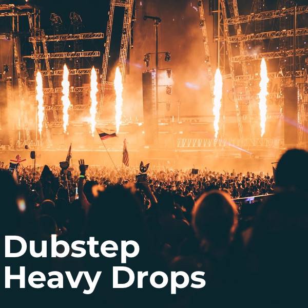 Dubstep Heavy Drops 2024 🔥