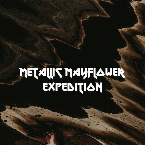 Metallic Mayflower Expedition