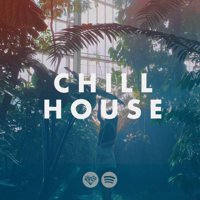 Chill House - Organic House - Downtempo 2024 🦎  