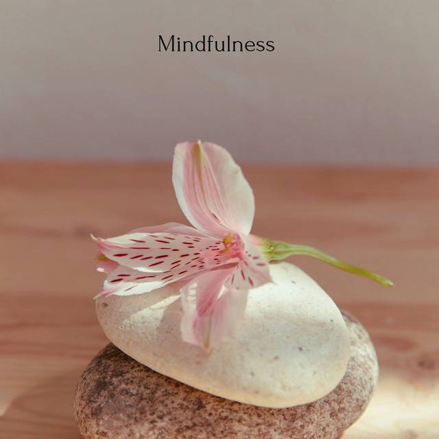Mindfulness and Ambient
