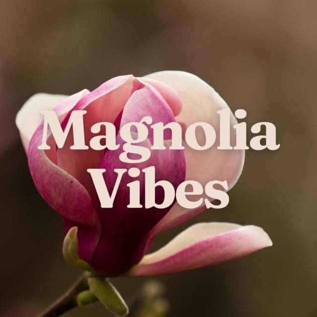 Magnolia Vibes