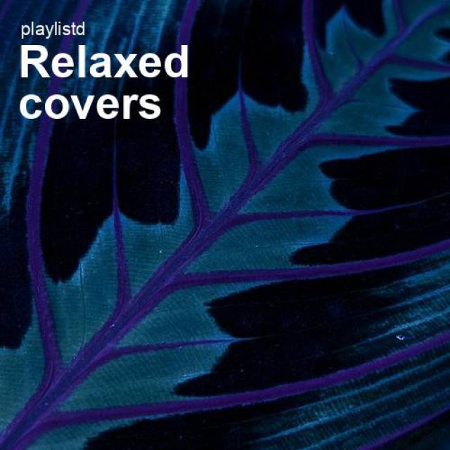 Relaxed Covers by Playlistd