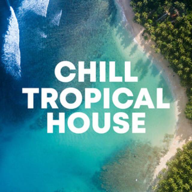 Chill Tropical Deep House Instrumentals 2024 🏝