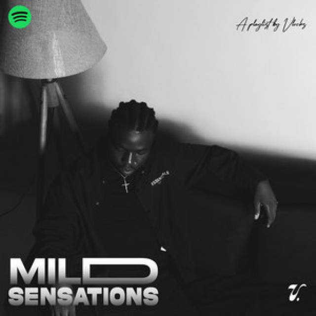 Mild Sensations (Hip-Hop/Rap Edition)