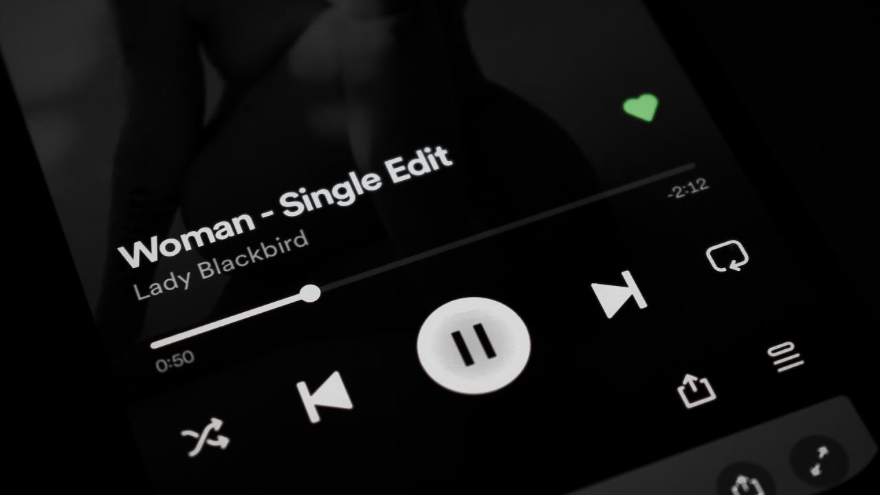 Can you submit to Spotify playlists without a label?